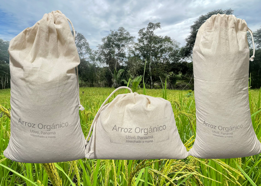Arroz Orgánico